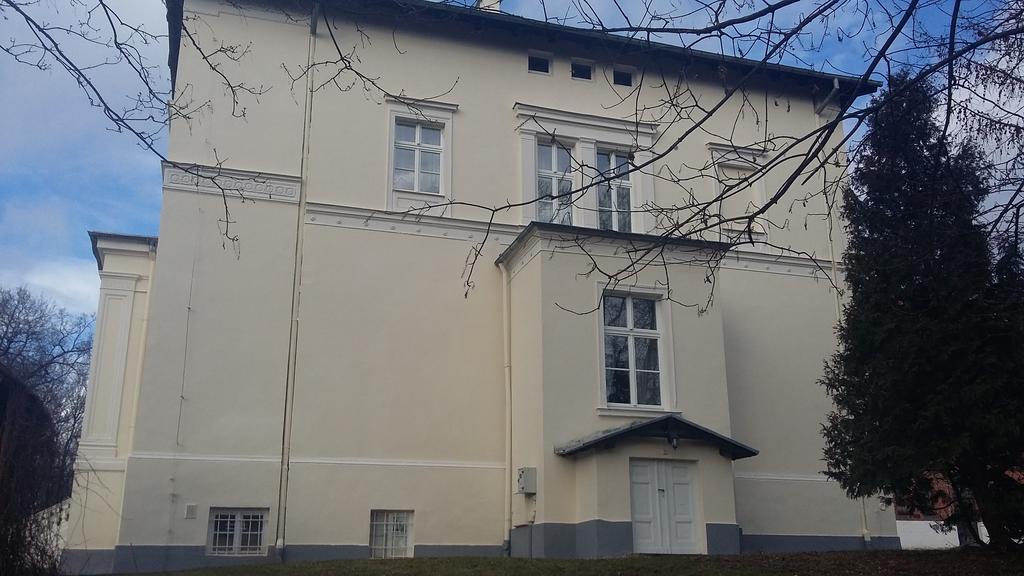 Agroturystyka "Palac W Janowie" Экстерьер фото